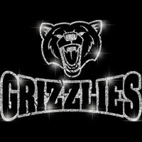 GLT32 SILVER GLITTER Thumbnail