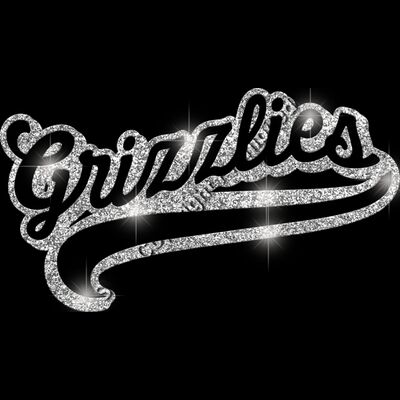 GLT78 SILVER GLITTER Thumbnail