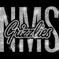 GLT95 SILVER GLITTER Thumbnail