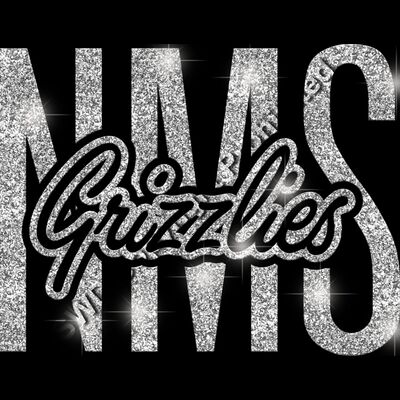 GLT95 SILVER GLITTER Thumbnail